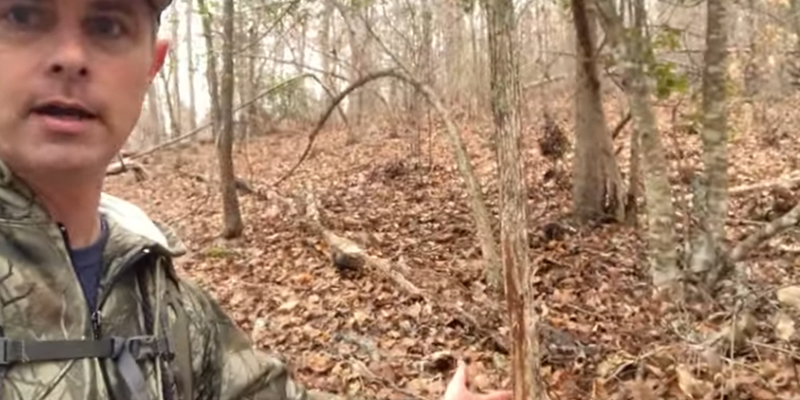 What to Do After Deer Season: Off-Season Scouting That Pays Off Next Fall