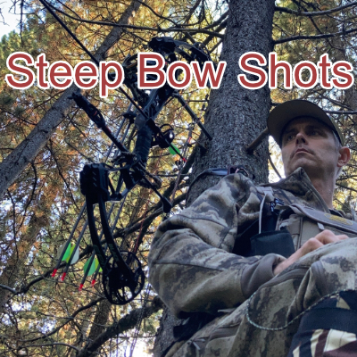 Why Steep, Close-Range Bow Shots Cause More Misses Than Long Shots