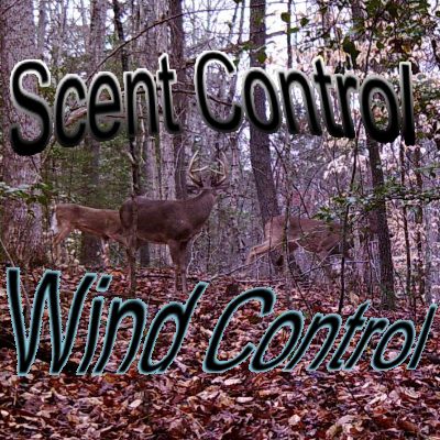 Scent Obsession vs. Wind Discipline: Why One Matters and the Other Doesn’t