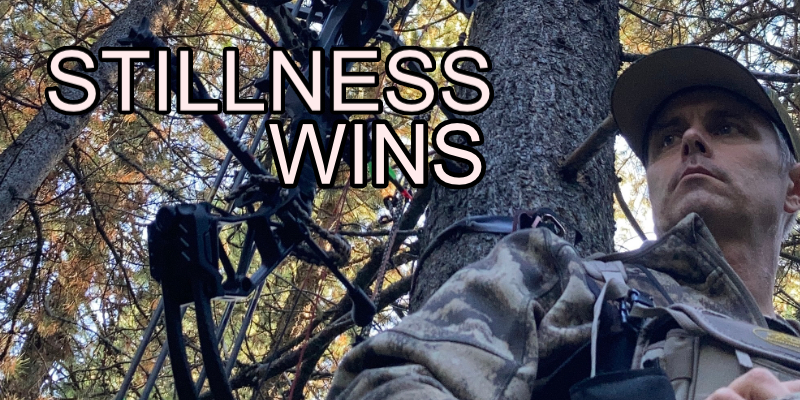 Why Stillness Matters More Than Camouflage in Deer Hunting