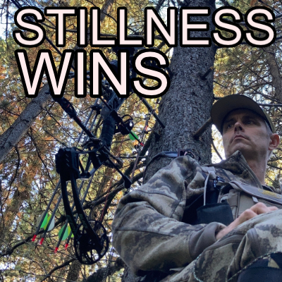 Why Stillness Matters More Than Camouflage in Deer Hunting