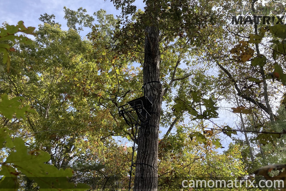 Tree Canopy - Bow Season