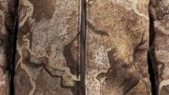 Realtree XT-3 camouflage